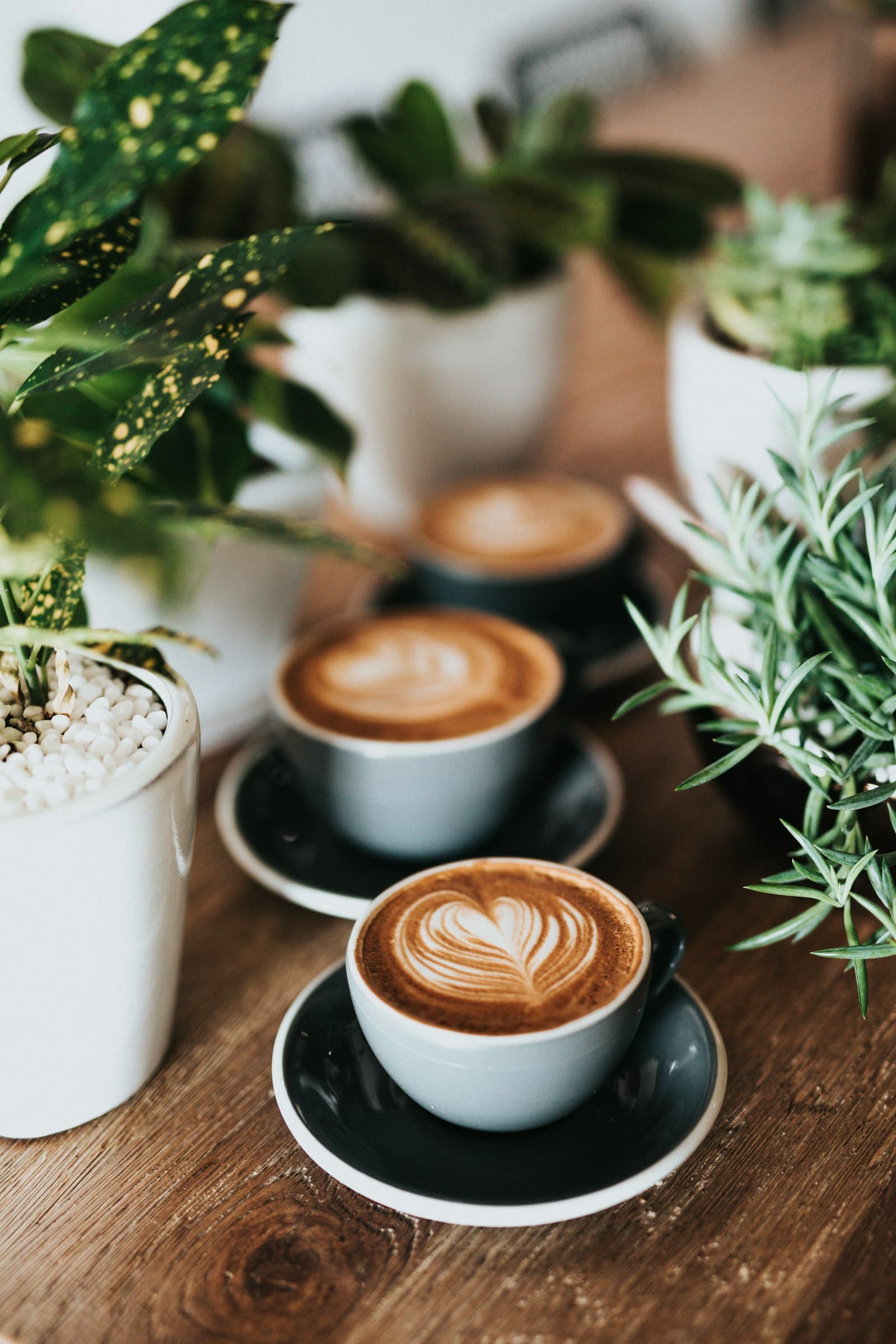 Photo by Nathan Dumlao on Unsplash. Source: Unsplash — unsplash.com/license